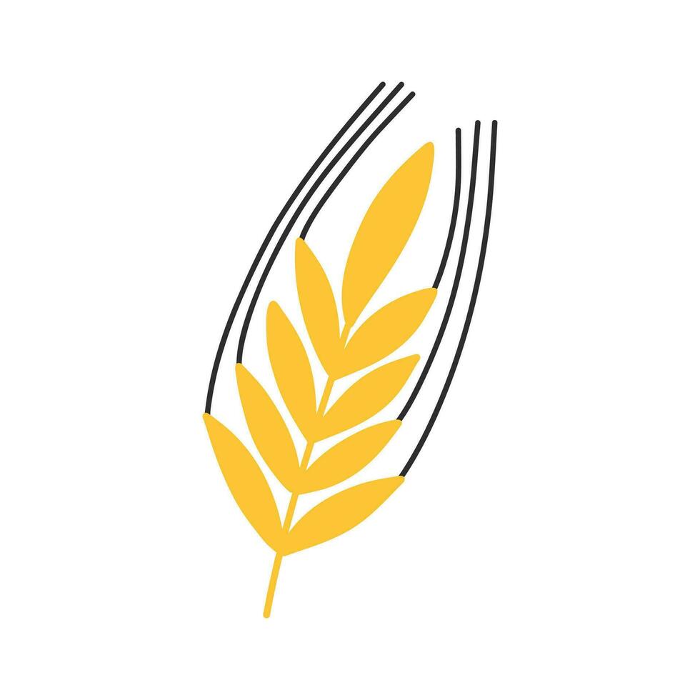Spikelet of wheat in doodle style. Vector illustration. Linear ear of wheat.