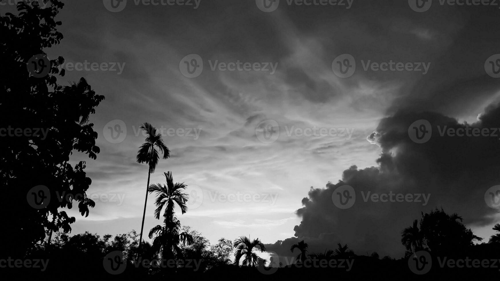 beautiful landscape with saw mountains, betel palm coconut trees, black and white sky vintage concept. photo