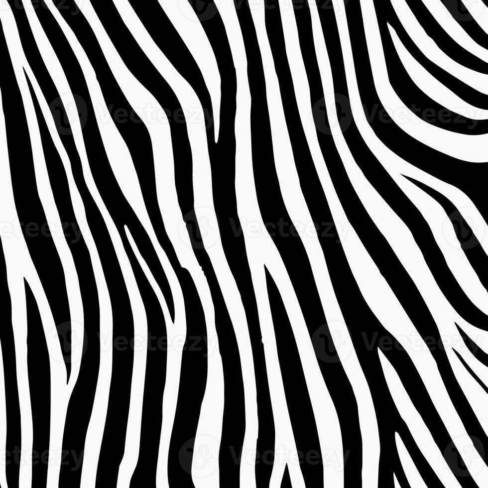 Zebra Print Backgrounds Stock Photos, Images and Backgrounds for Free