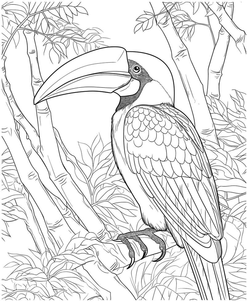 Hornbill coloring page for adults vector