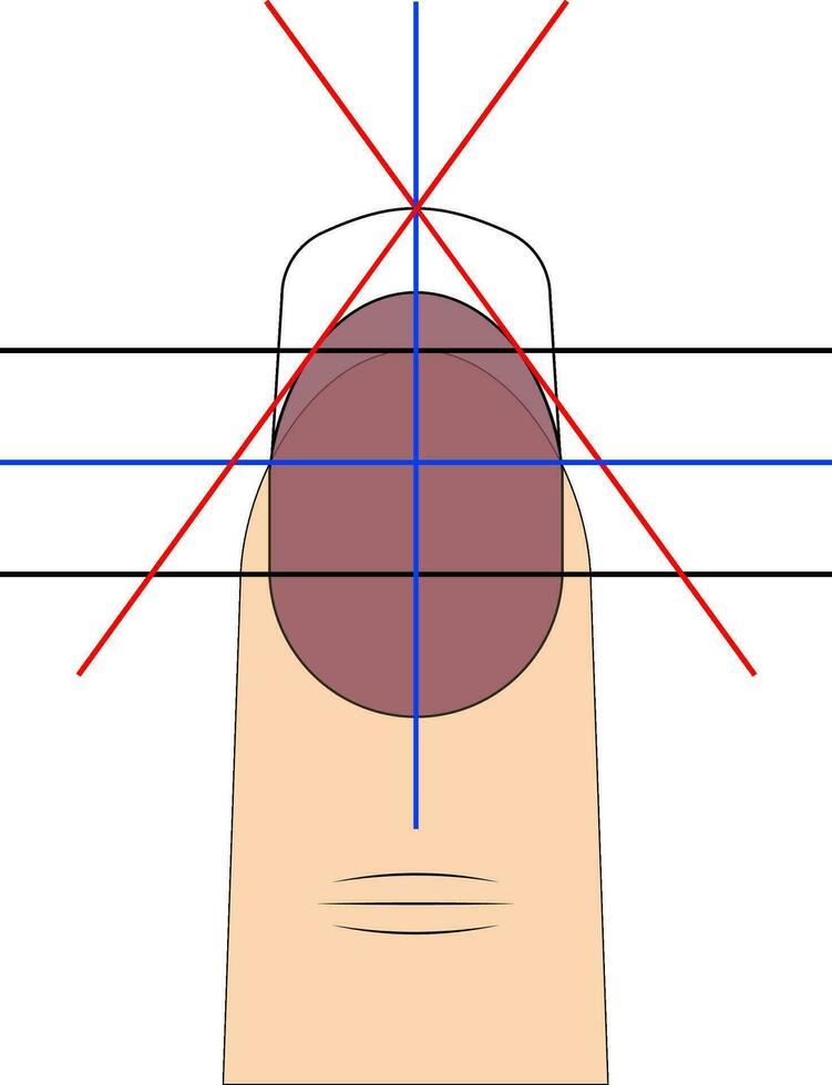 dibujo diagrama modelo a crear de moda uña forma manicura salón vector