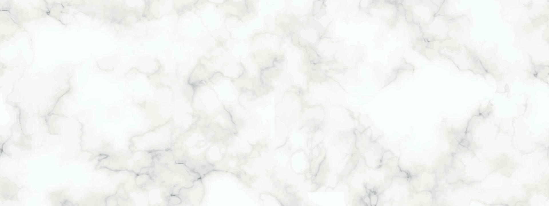 marble granite white panorama background. abstract light elegant black do floor, ceramic texture stone slab. marble vector texture background with high resolution.
