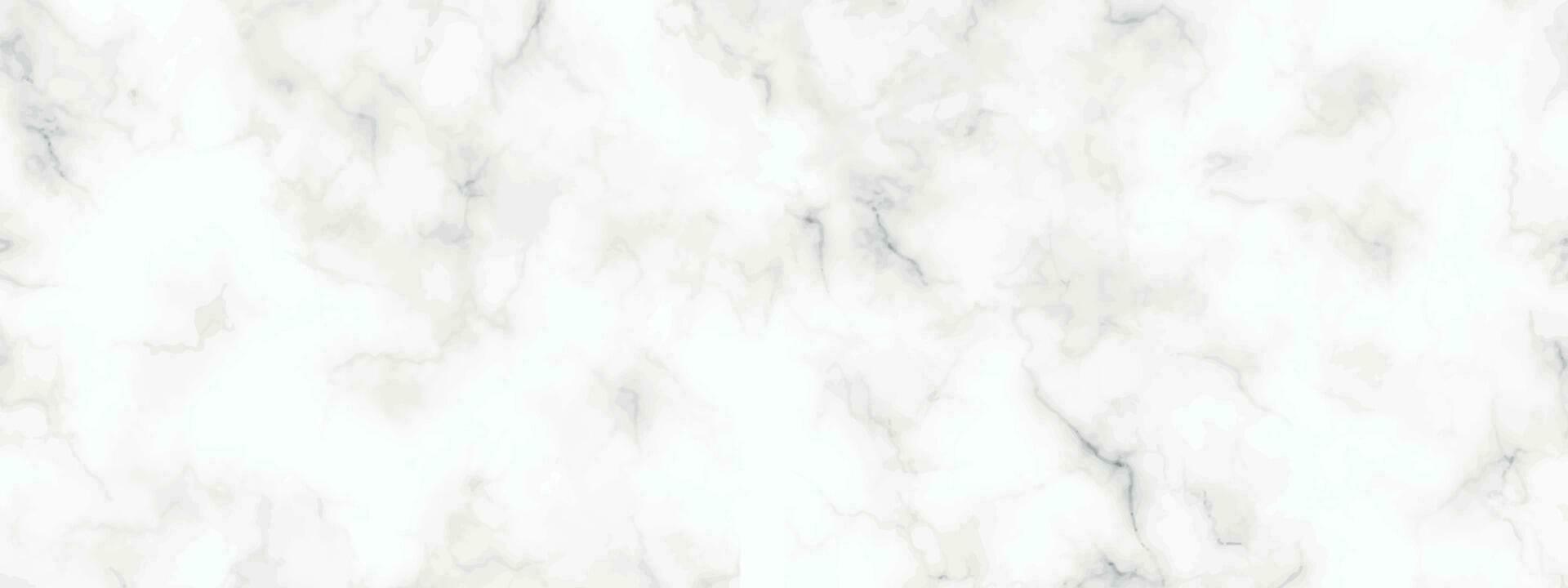 mármol granito blanco panorama antecedentes. resumen ligero elegante negro hacer piso, cerámico textura Roca losa. mármol vector textura antecedentes con alto resolución.