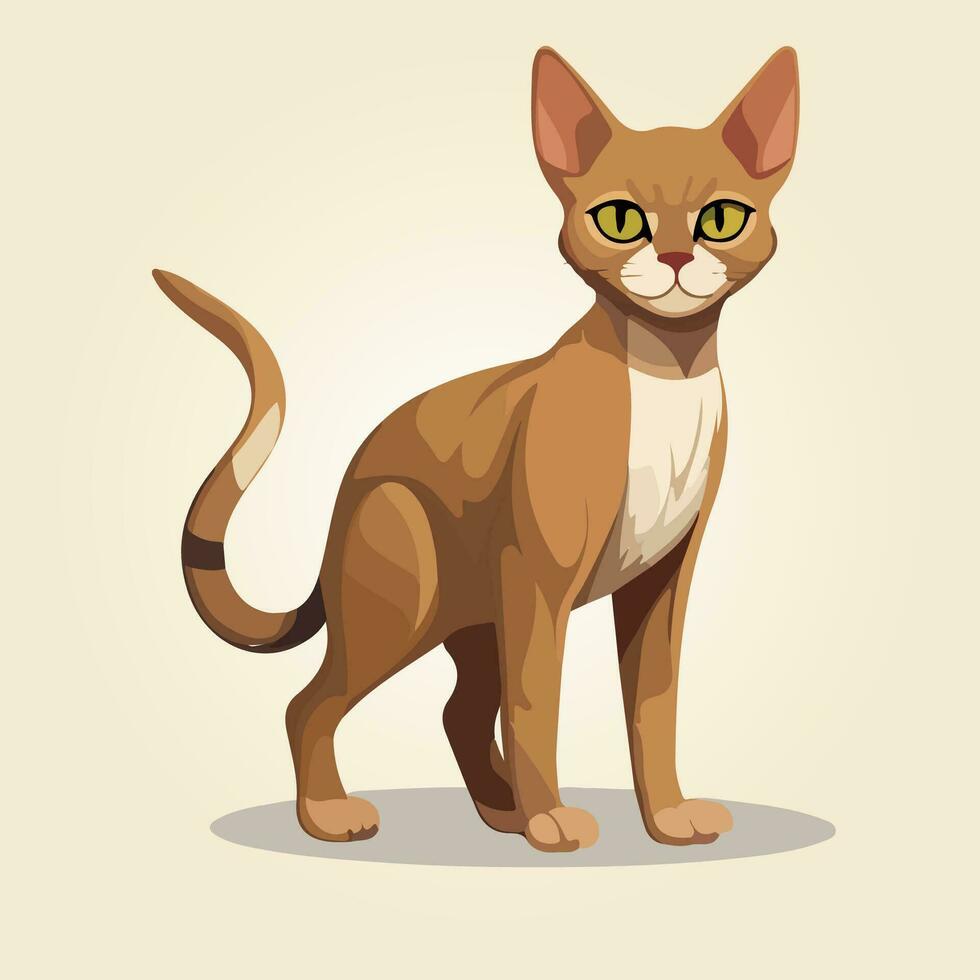 Abyssinian cat vector