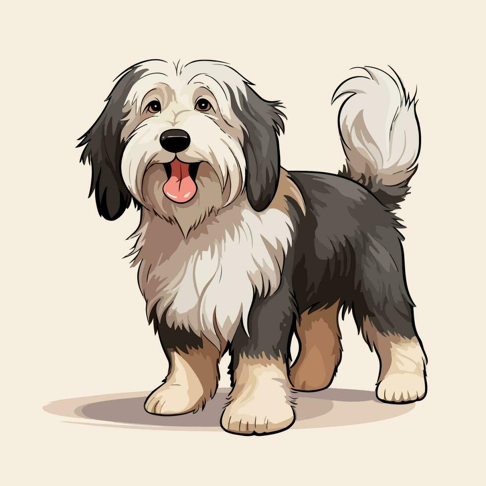 barbado collie perro vector