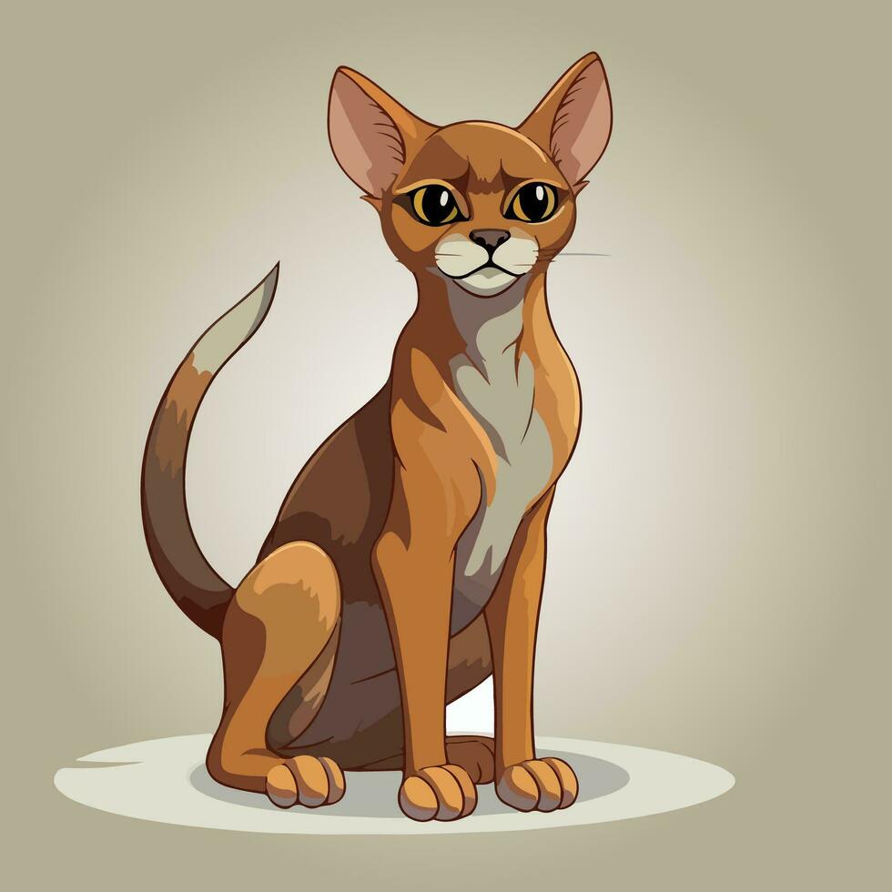 Abyssinian cat vector