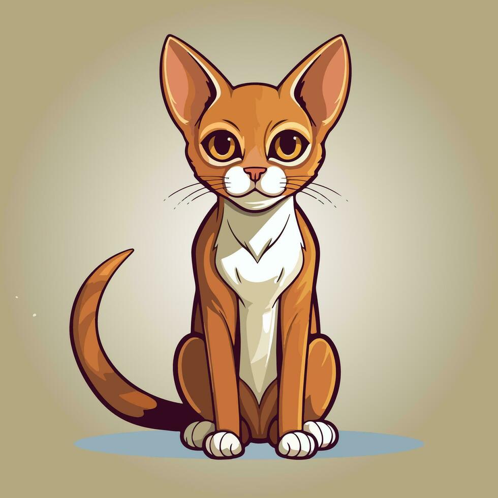 abyssinian cat kitten vector