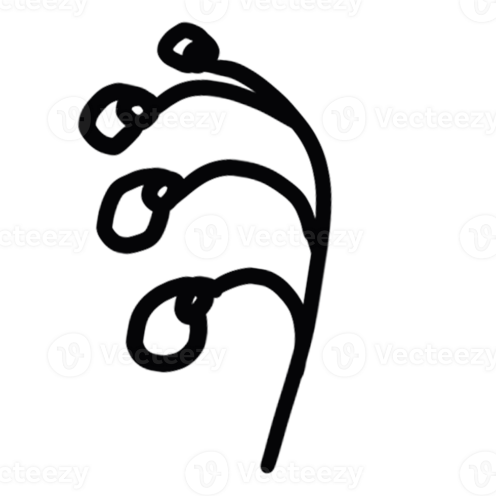 decoration decorative design different drawn eco elegance art png
