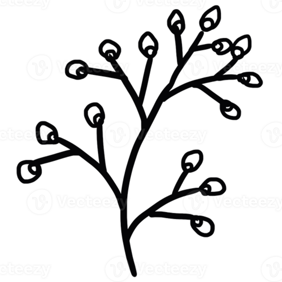 decoration decorative design different drawn eco elegance art png