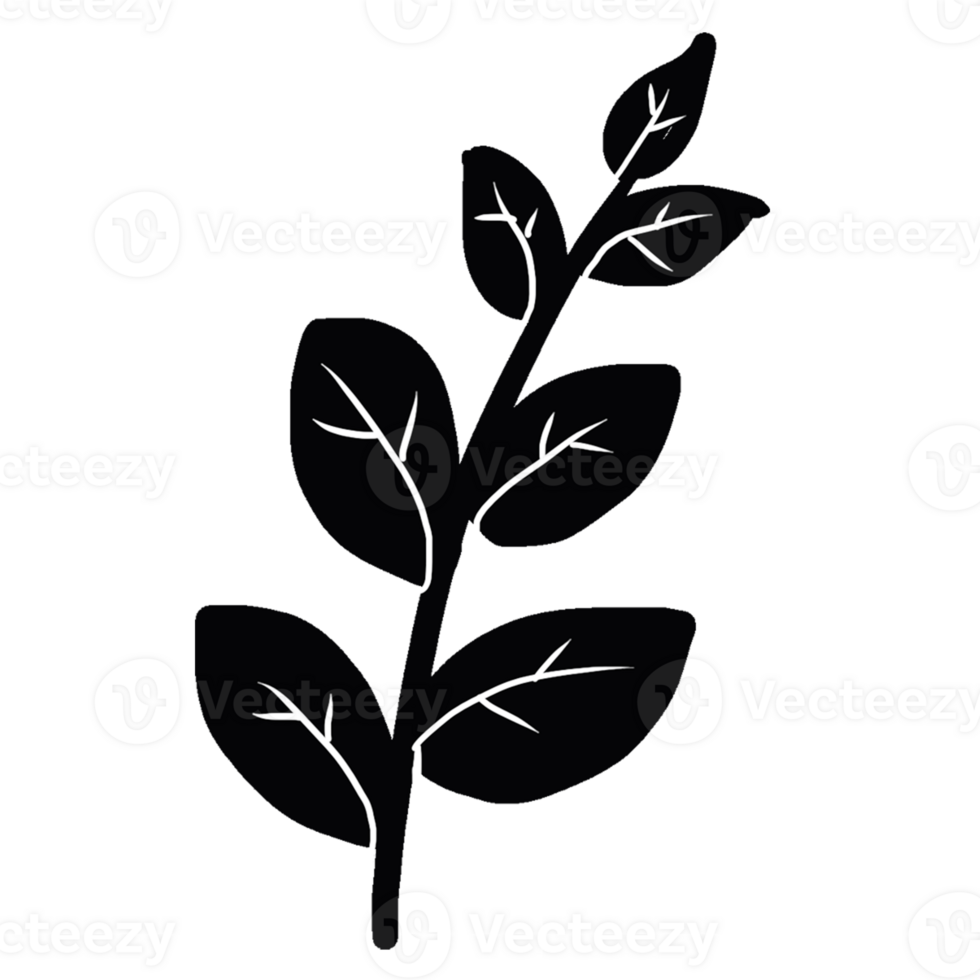 decoration decorative design different drawn eco elegance art png