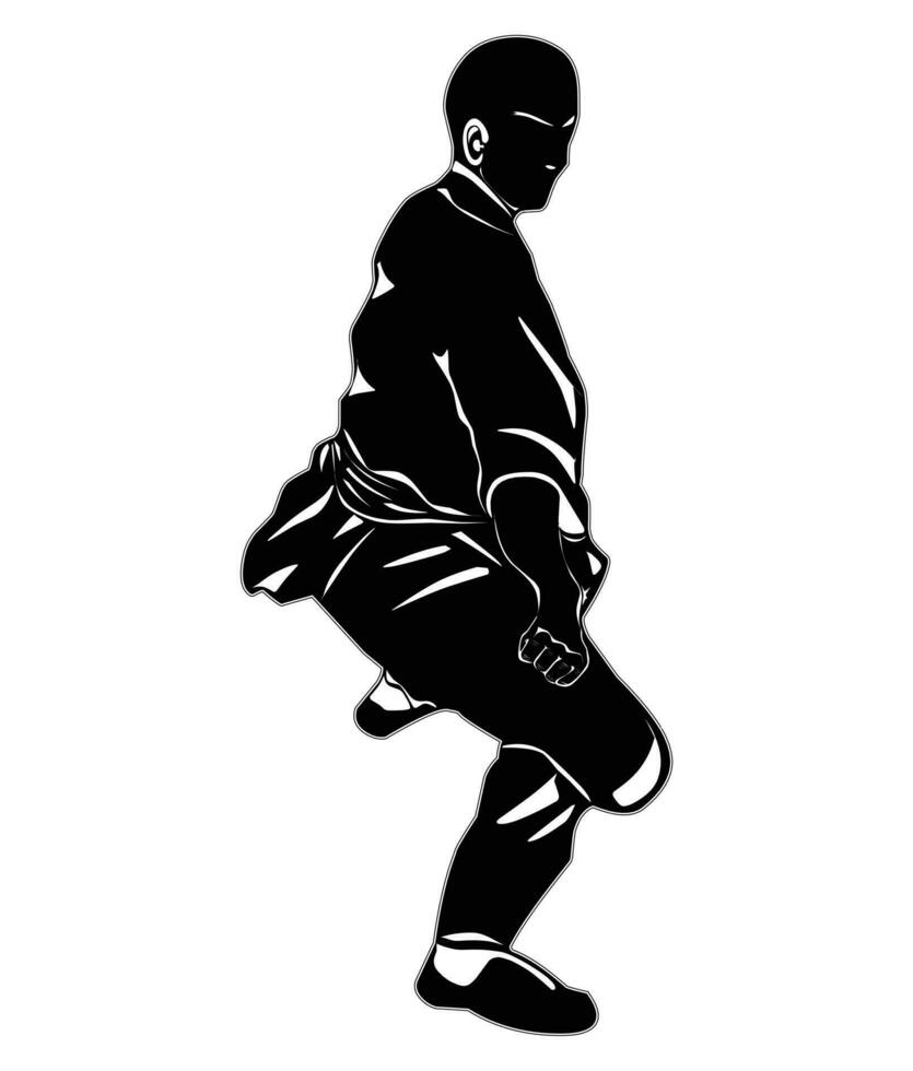 kung fu movement images, suitable for t-shirts, posters, education and others vector