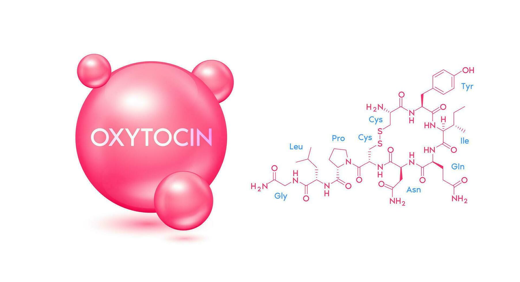 Oxytocin model red and structural chemical formula. Symbol 3D icon isolated on white background. Hormone in human brain. Medical scientific concepts. Vector EPS10.