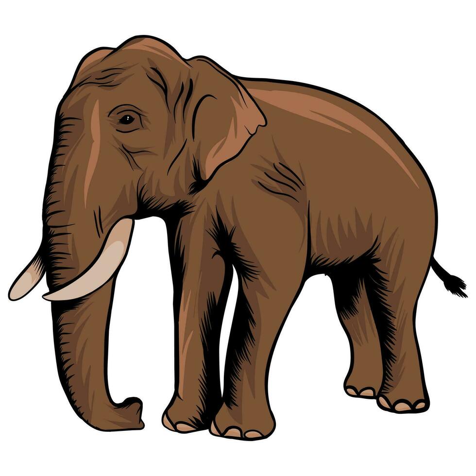 elefante en dibujos animados estilo en blanco antecedentes ilustración vector