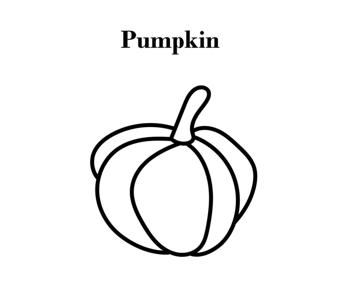 Pumpkin for Halloween or Thanksgiving line art design with vector illustrations