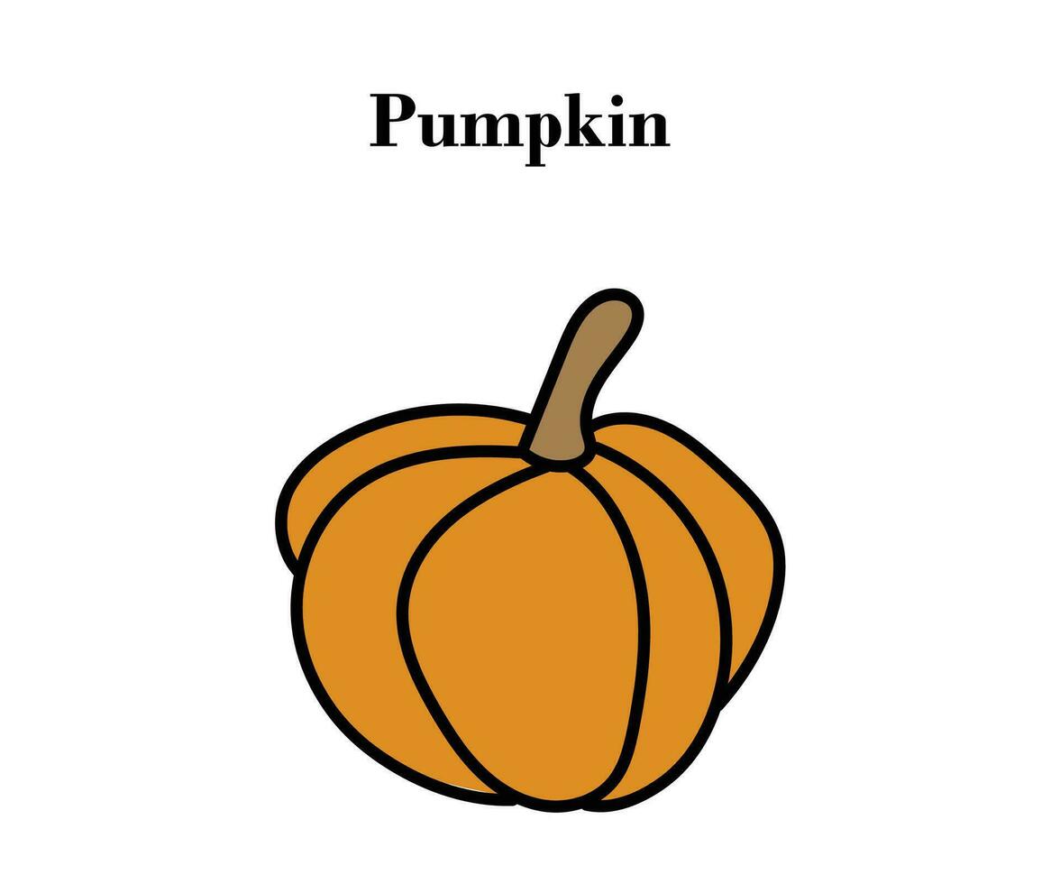 Pumpkin for Halloween or Thanksgiving colorful design with vector illustrations