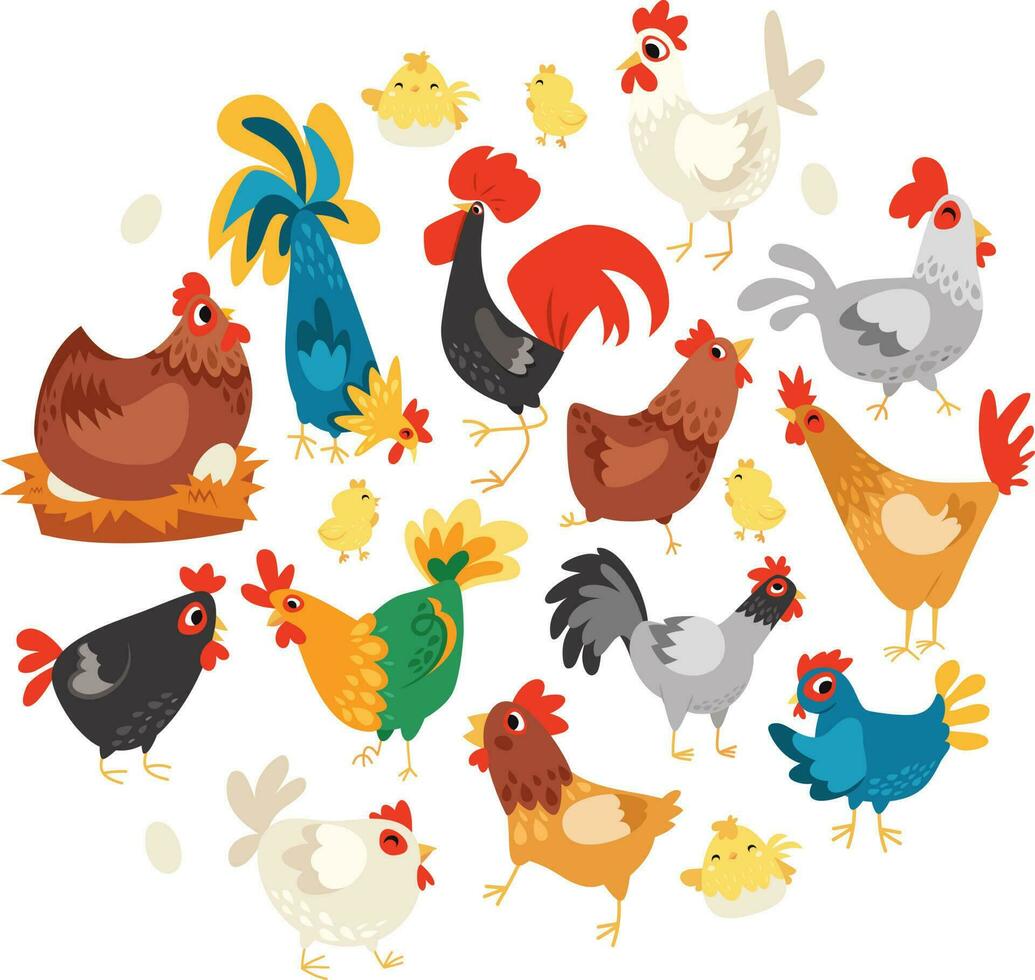 dibujos animados pollos conjunto vector