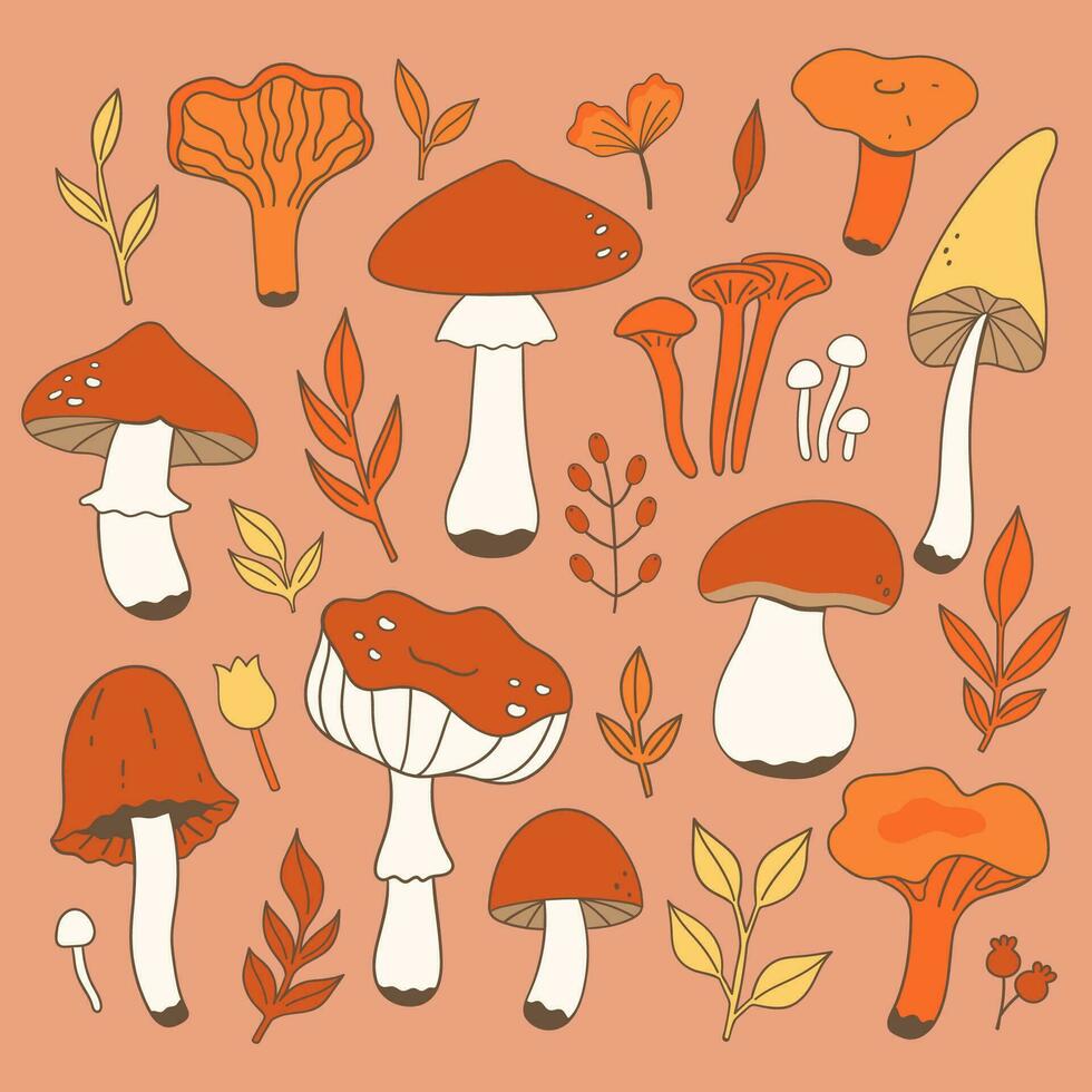 Autumn set of mushrooms and leaves. Vector graphics.