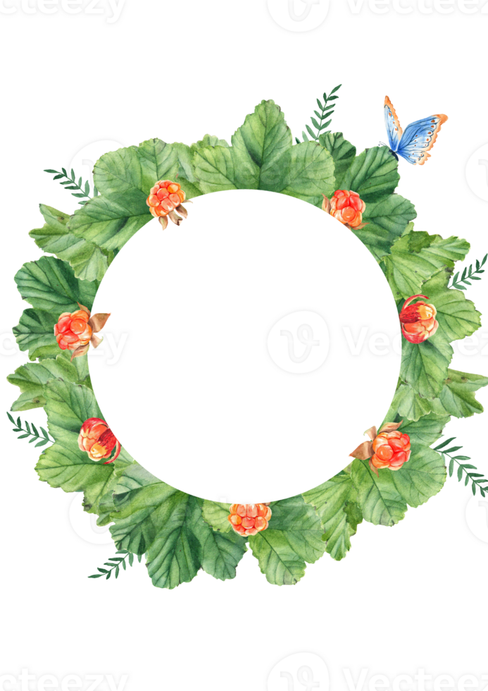 Floral card template with cloudberry leaves and berries, fern, blue butterfly. Round forest frame. For save the date, greeting cards, poster, anniversary, baby shower. Hand drawn png