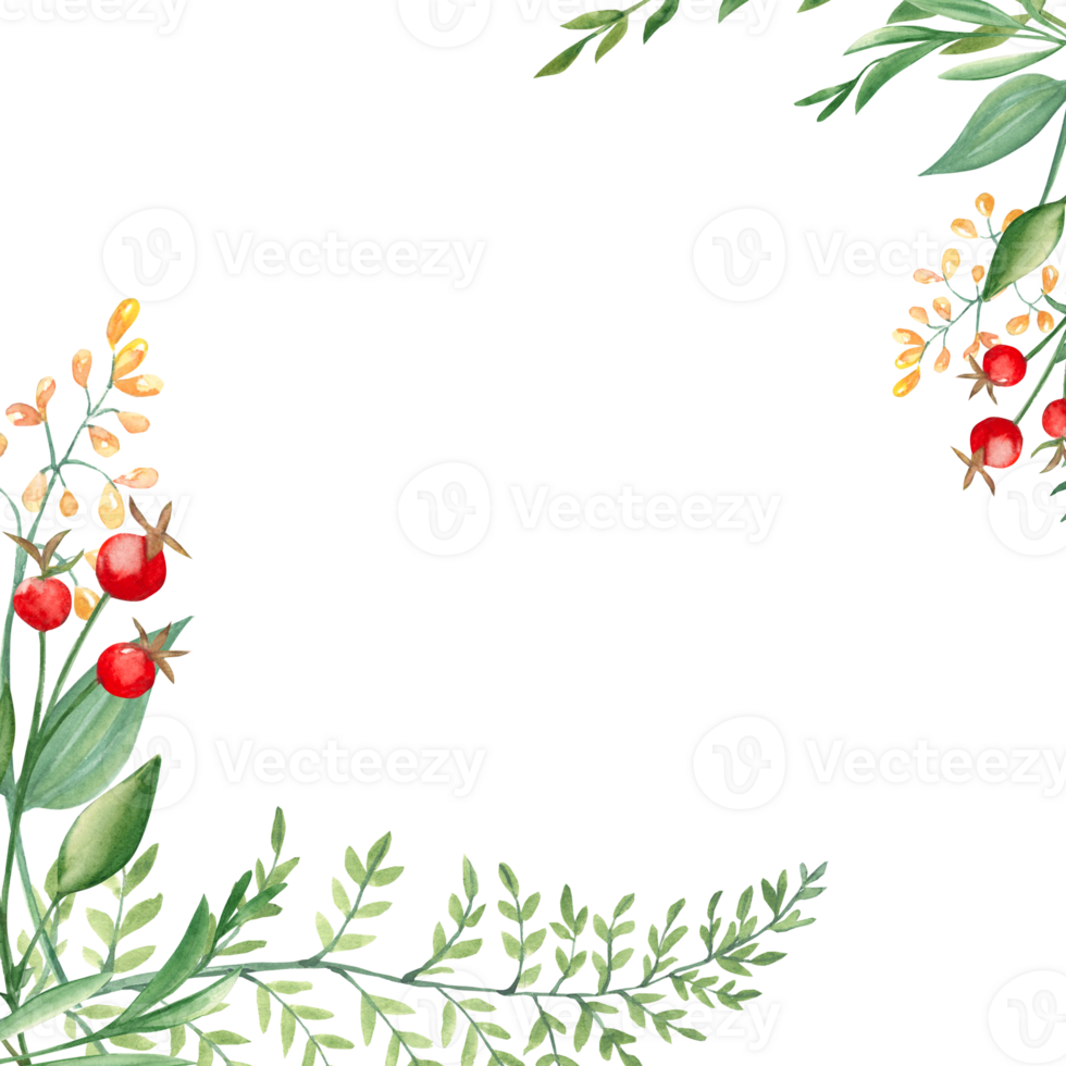 Watercolor square forest frame, border with fern, green branches, red and yellow berries and wildflowers. Hand drawn botanical illustration. For logo design, as invitation card for birthday png