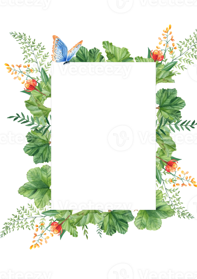 Floral card template with cloudberry leaves and berries, fern, green branches, yellow wildflowers, blue butterfly. Square, rectangular forest frame. For save the date, greeting cards, poster. png