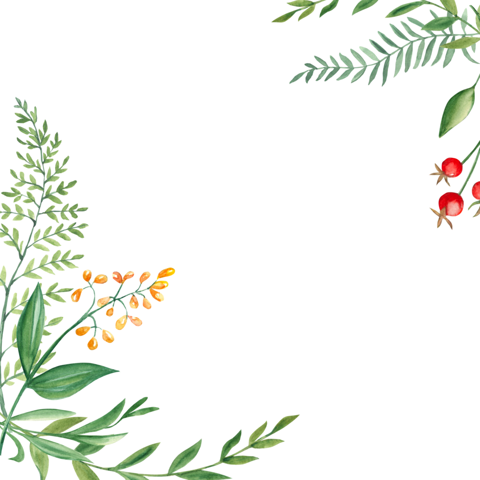 Aquarell Platz Wald rahmen, Rand mit Farn, Grün Geäst, rot und Gelb Beeren und Wildblumen. Hand gezeichnet botanisch Illustration. zum Einladung Karte, Geburtstag, Jubiläum, Baby Dusche. png