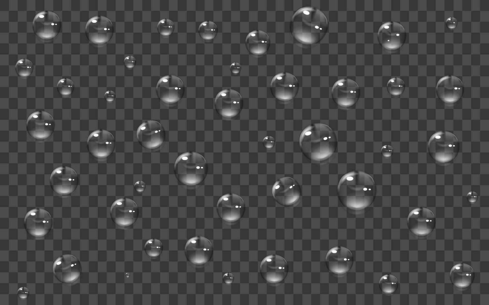 Transparent round water drops on a smooth surface.Rain drops vector