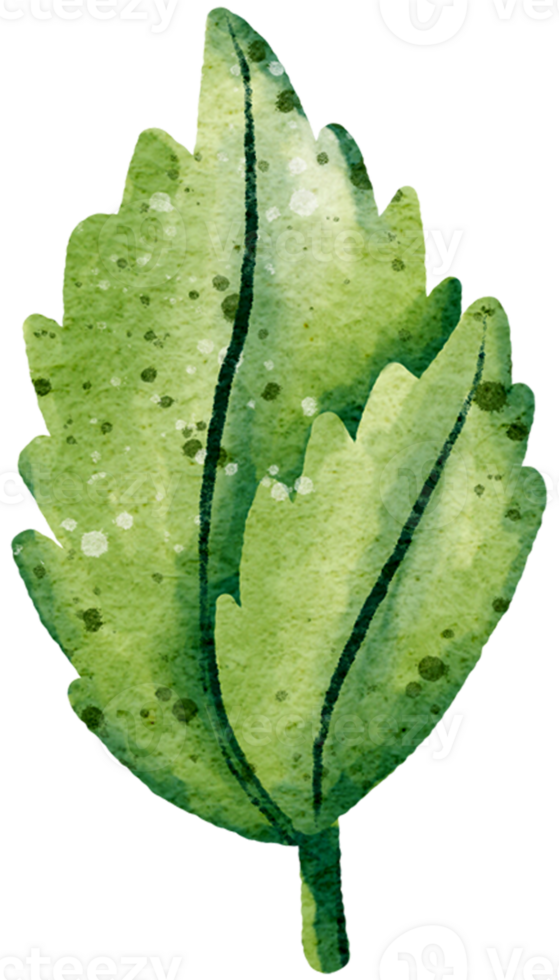 set of strawberries hand-drawn in a watercolor-style drawing png