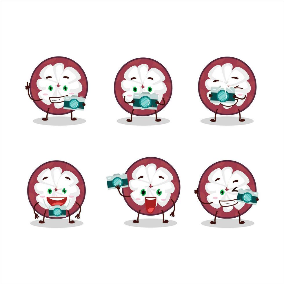 Photographer profession emoticon with slice of mangosteen cartoon character vector