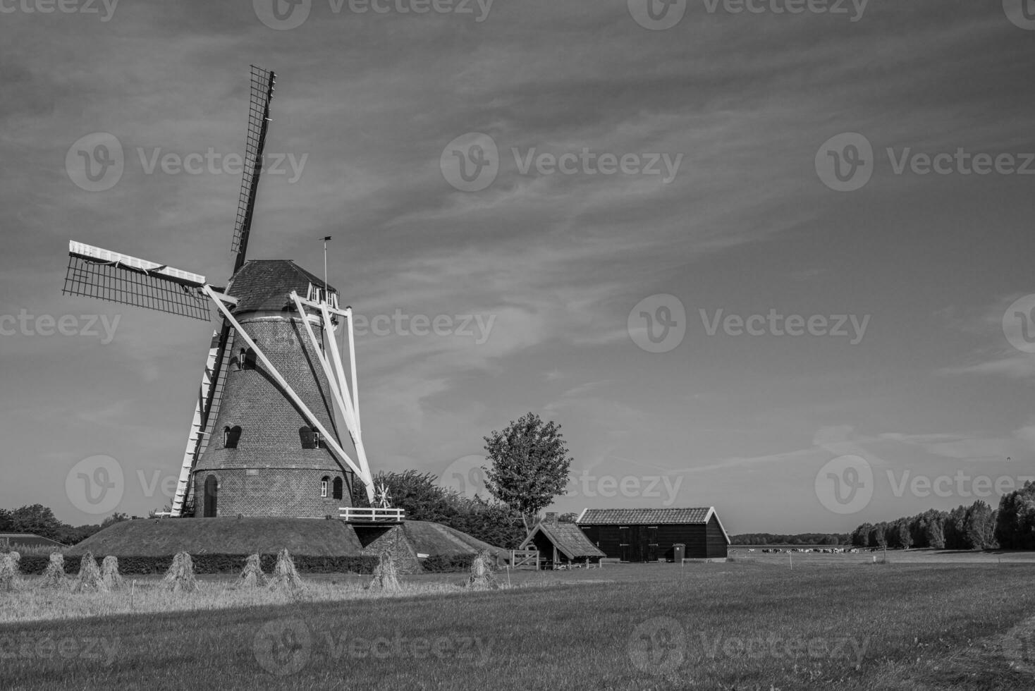 windmill in the netherlands photo
