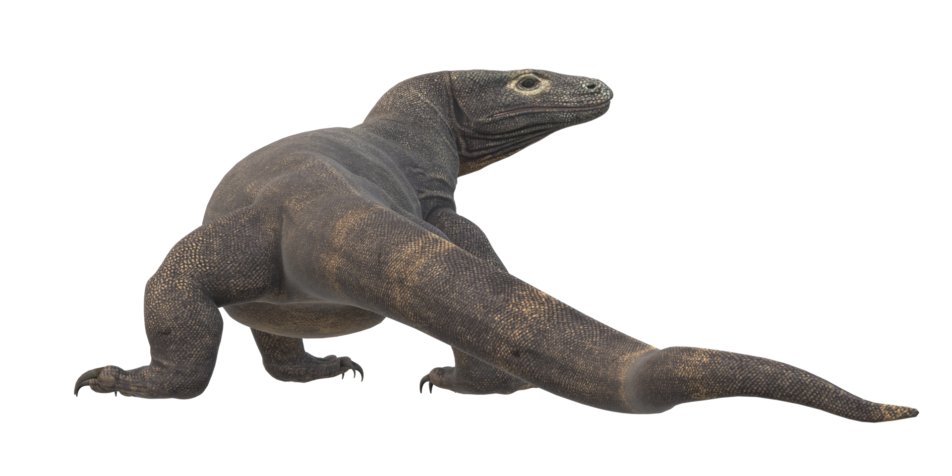 Comodo Dragon isolated on  a Transparent Background png