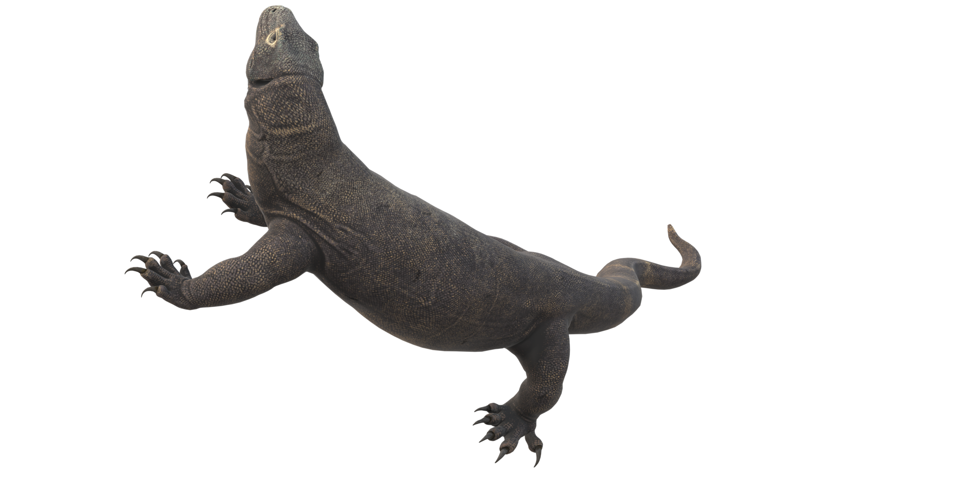 Comodo Dragon isolated on  a Transparent Background png