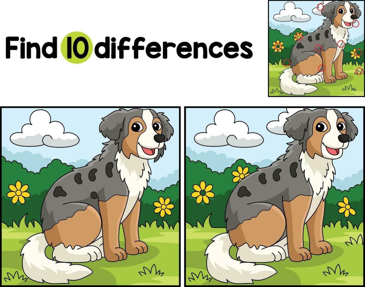 Australian Shepherd Dog Find The Differences vector