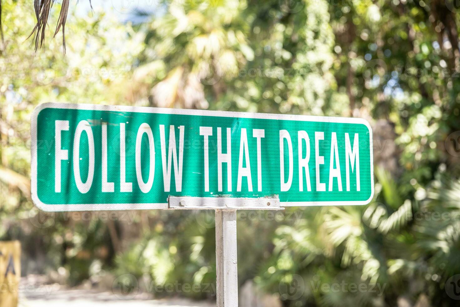 Motivational quote saying Follow That Dream on a sign next to a road in the nature photo