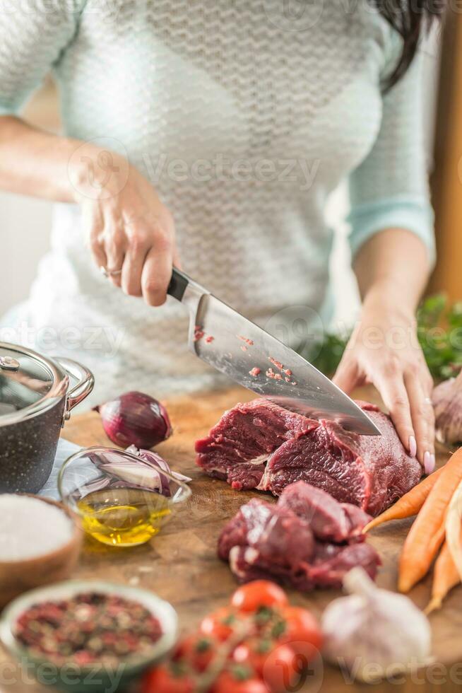 Young housewife slicing fresh beef steak. Female hands preparing lunch of meat and vegetables photo