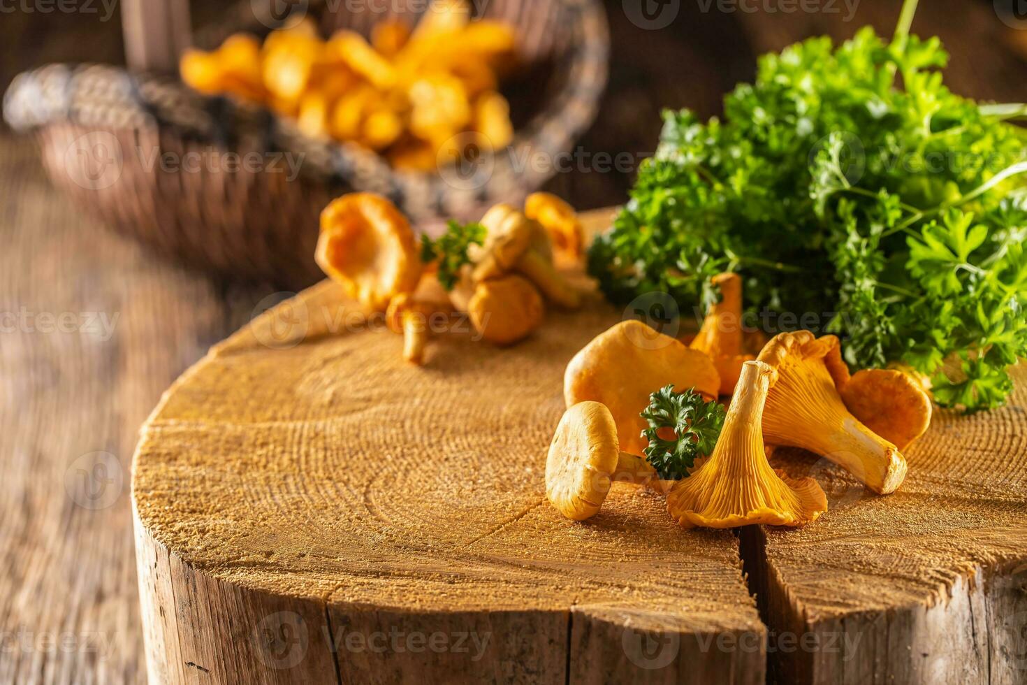 crudo rebozuelos seta en madera con perejil hierbas foto