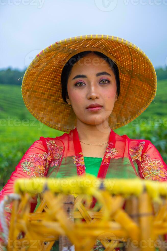 a tea leaf farmer is enjoying the view of the tea garden while holding a basket photo