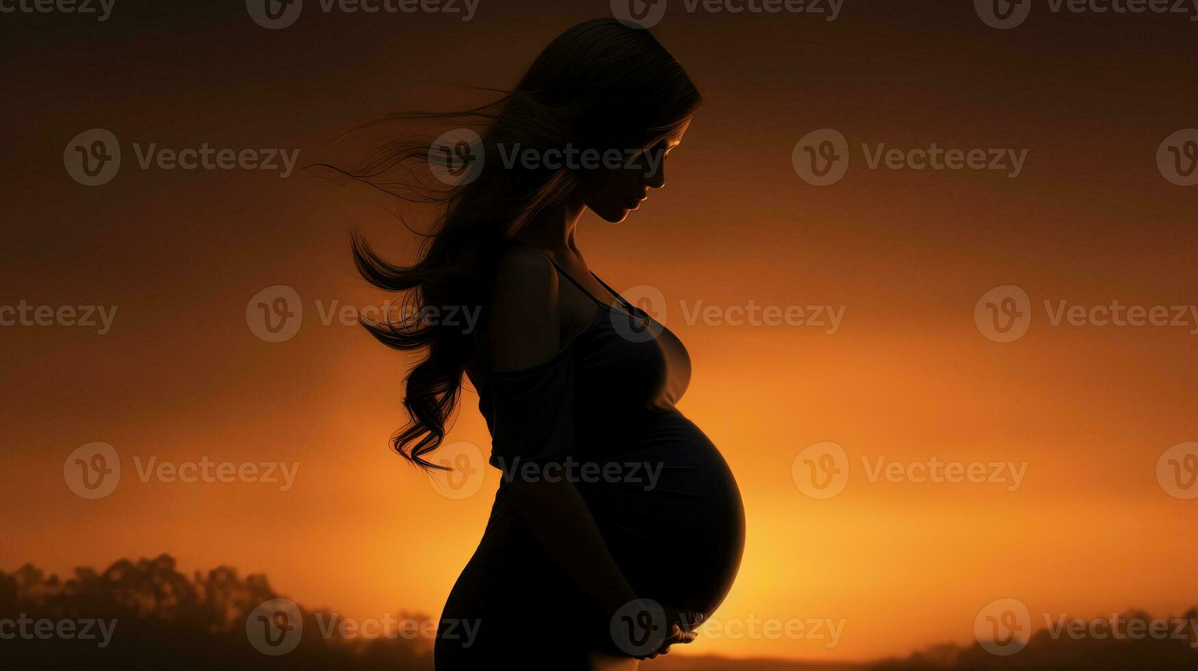 Silhouette of pregnant woman photo