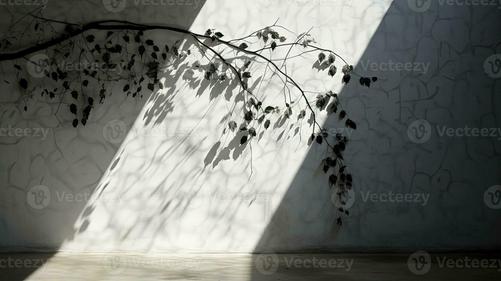 Gray walls with indistinct leaf and vine shadows. silhouette concept photo