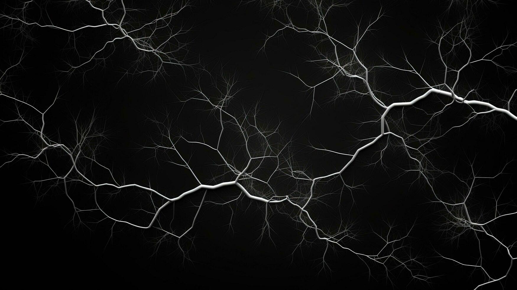 Black background with white branches forming an abstract representation. silhouette concept photo