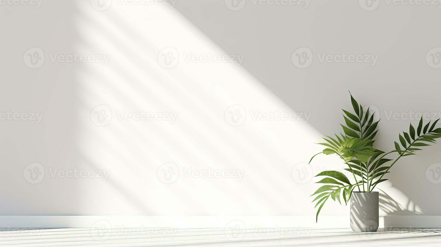 Simple white wall with blurred foliage shadow on light background Perfect backdrop for a presentation on a sleek floor. silhouette concept photo
