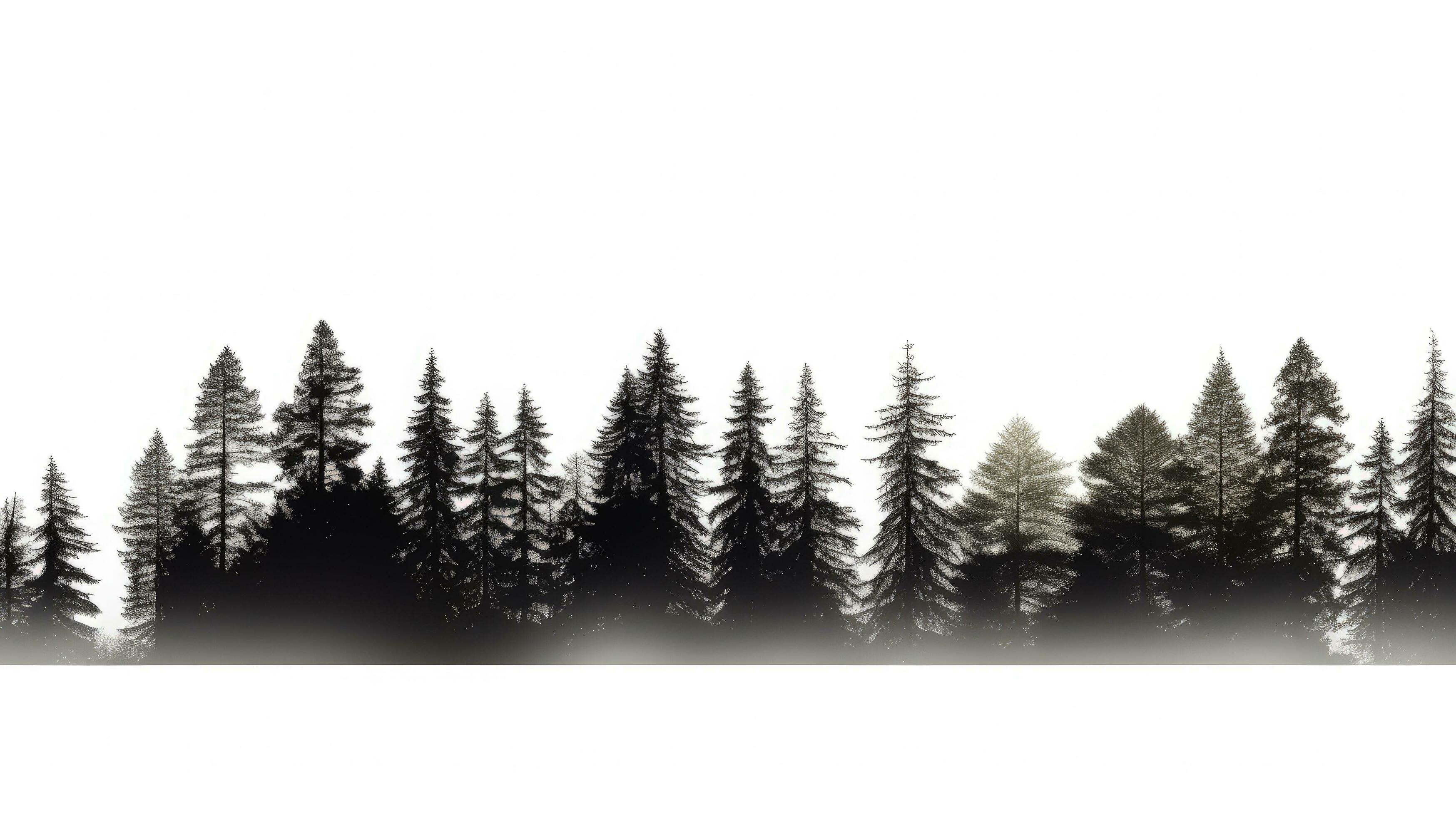 Treeline Silhouette Stock Photos, Images and Backgrounds for Free Download