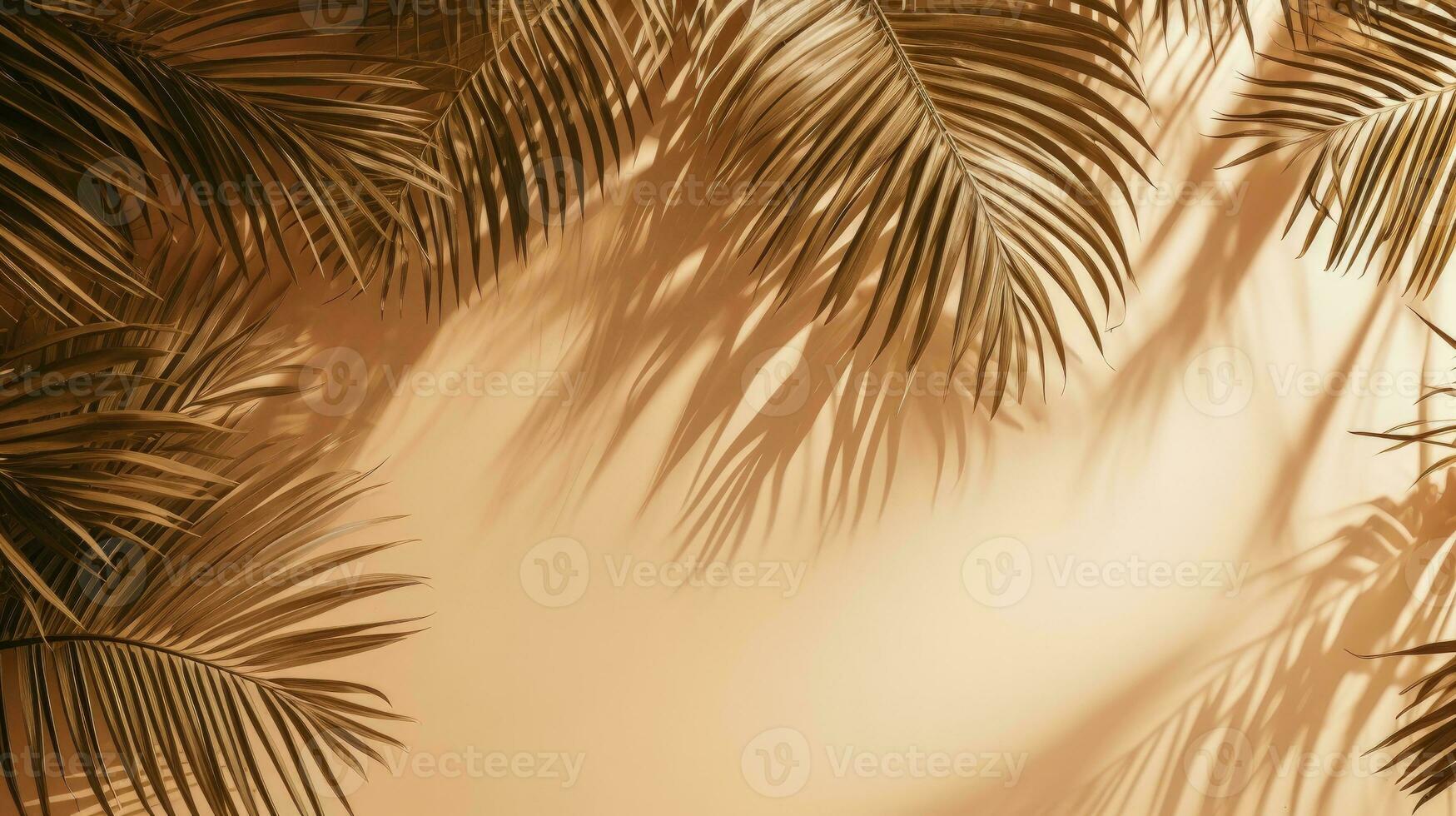 Palm tree leaves casting shadows on eco friendly cardboard. silhouette concept photo