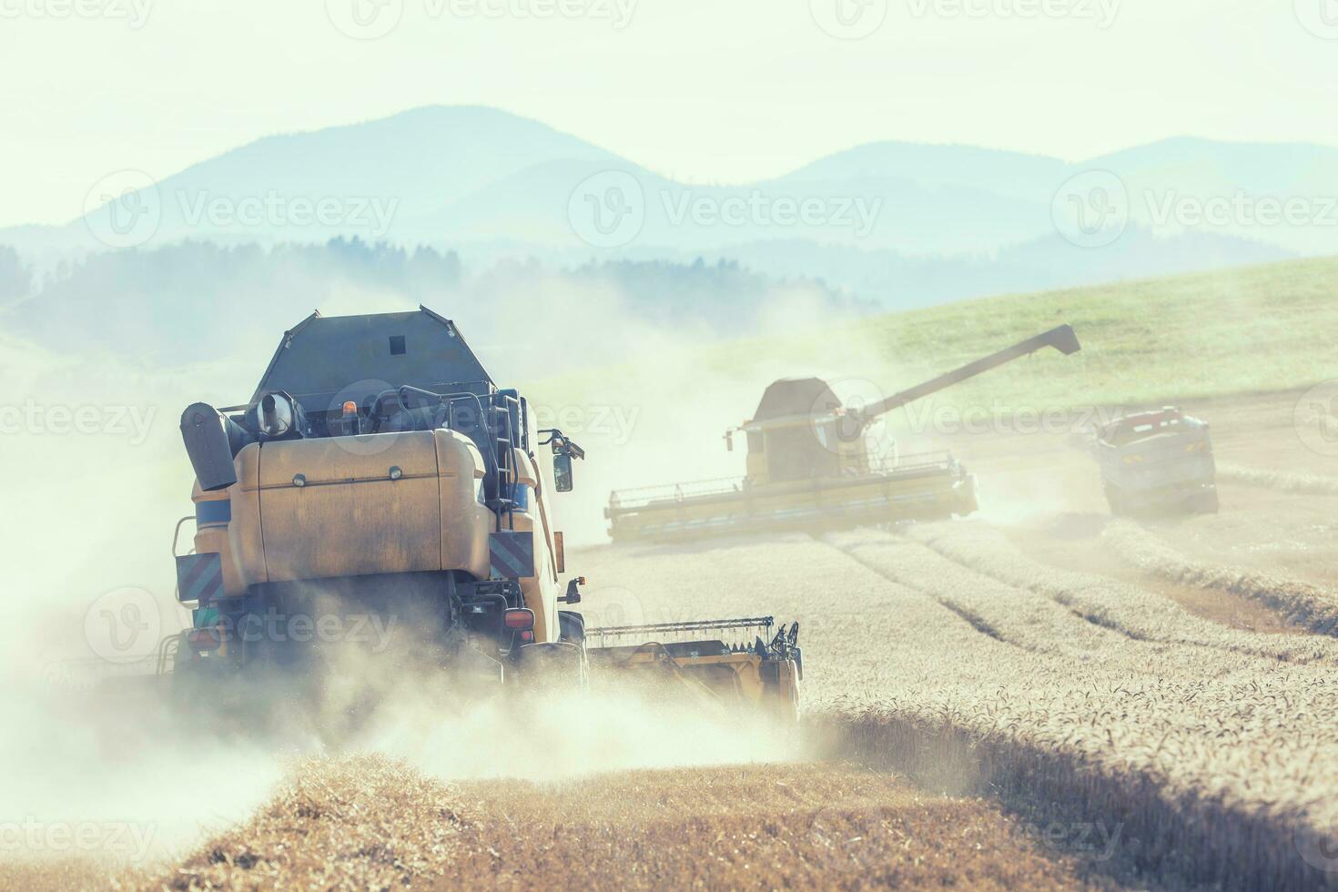 combinar segador en trabajo en trigo campo foto