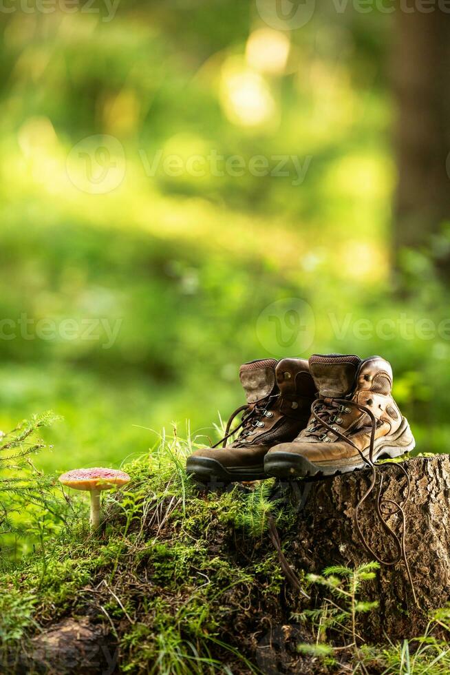 Two used hiking boots laid in the woods on a stump next to a toadstool photo