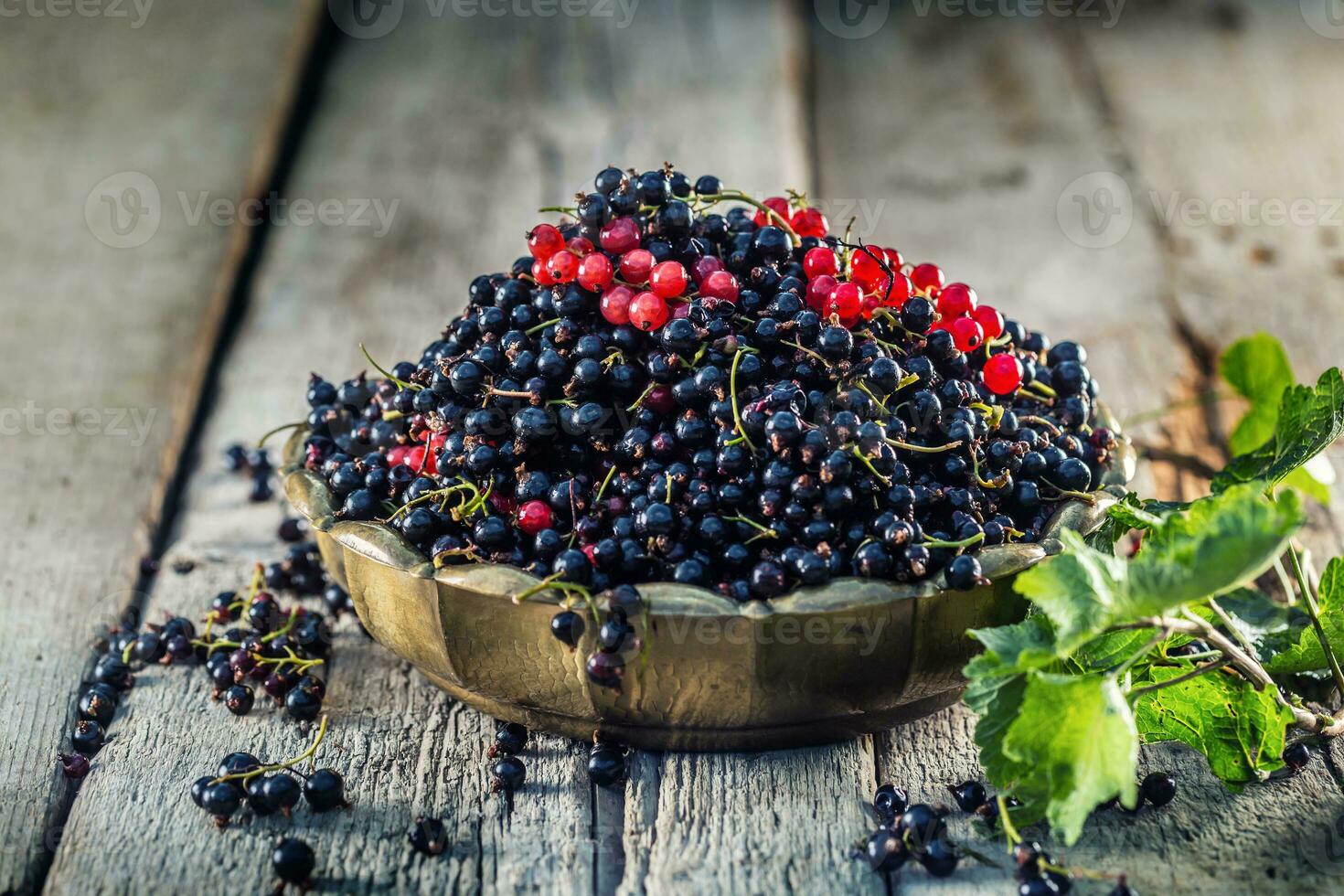 Black and red currant in bronze bowl on garden table photo
