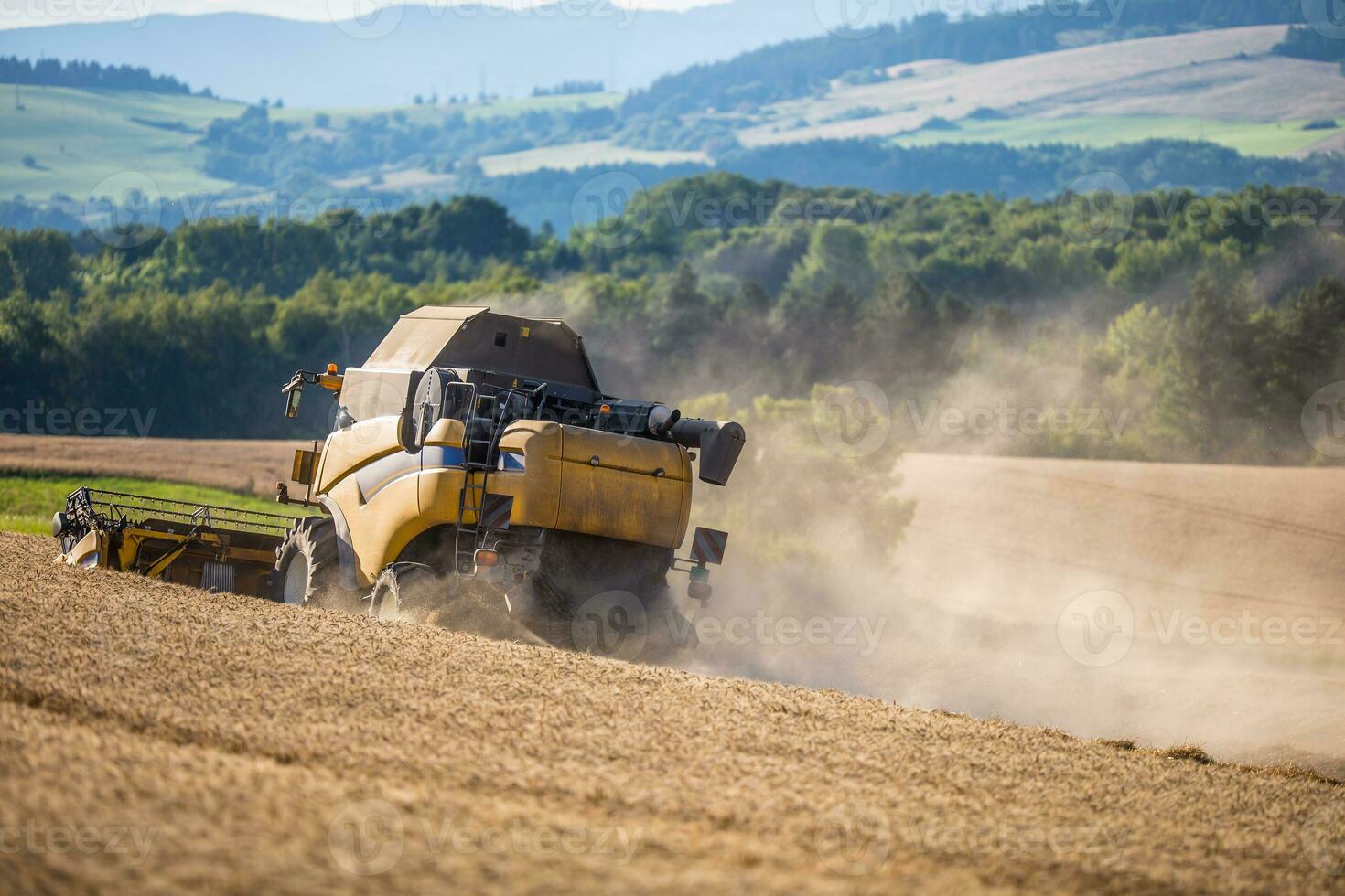 Combine harvester in work on wheat field photo