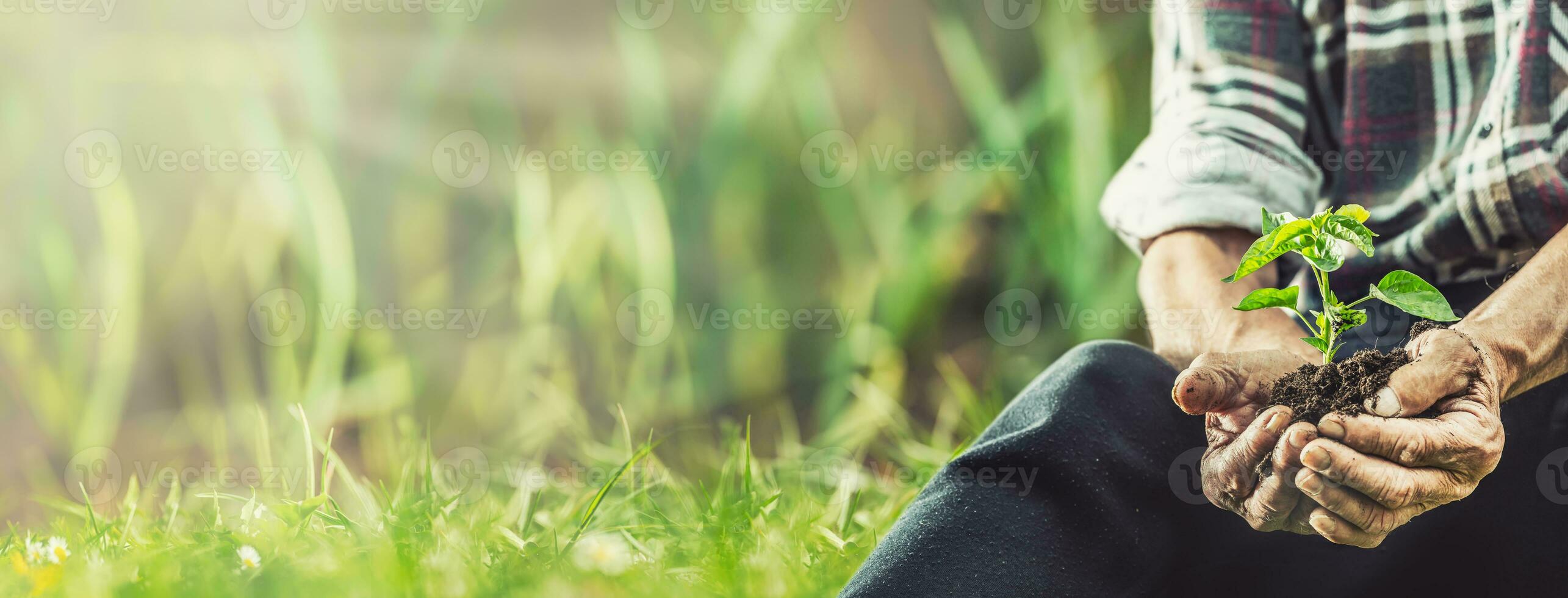 Banner view of a man sitting on a grass before putting a seedling into the ground photo