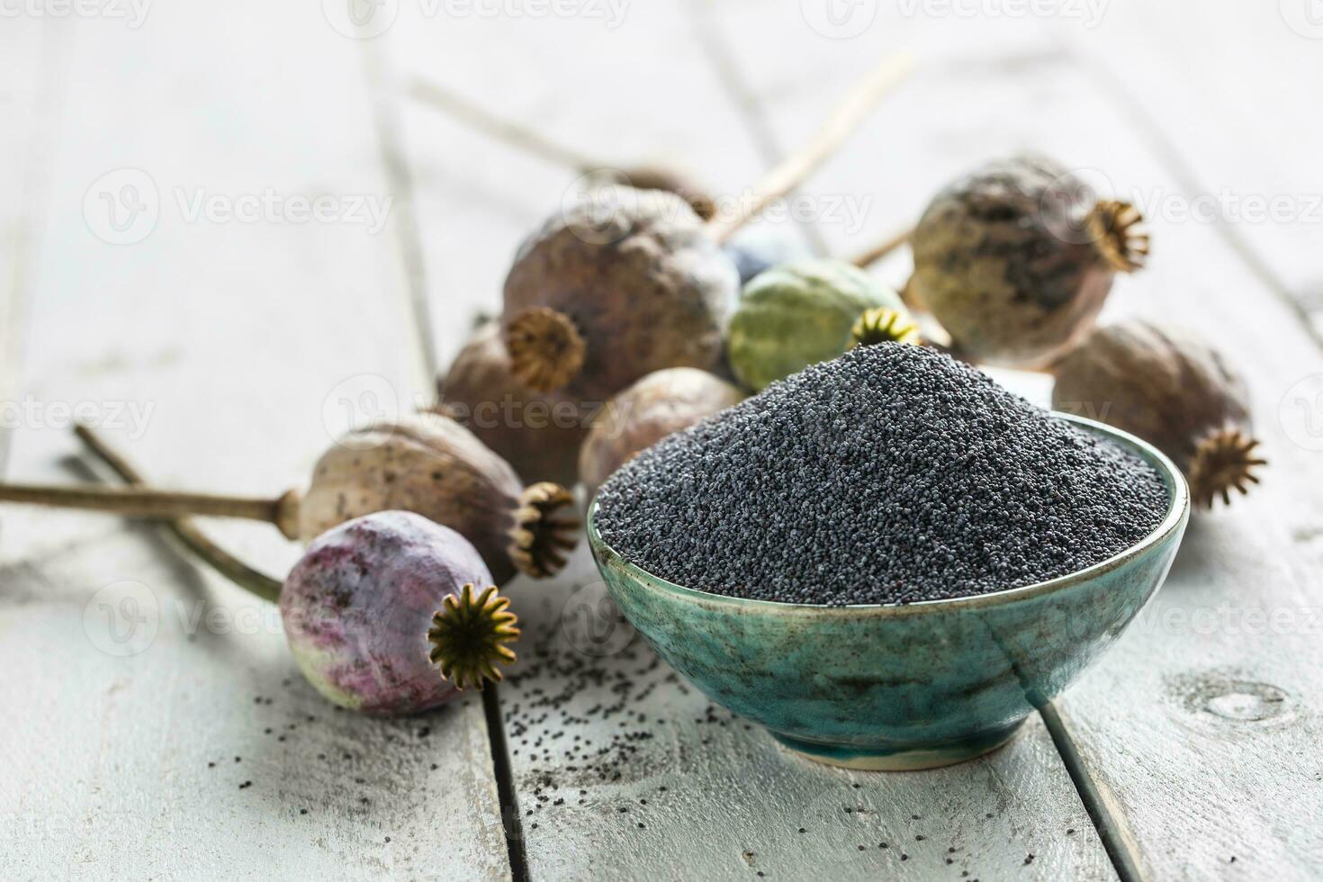 Poppy seed with their heads on wooden boards photo