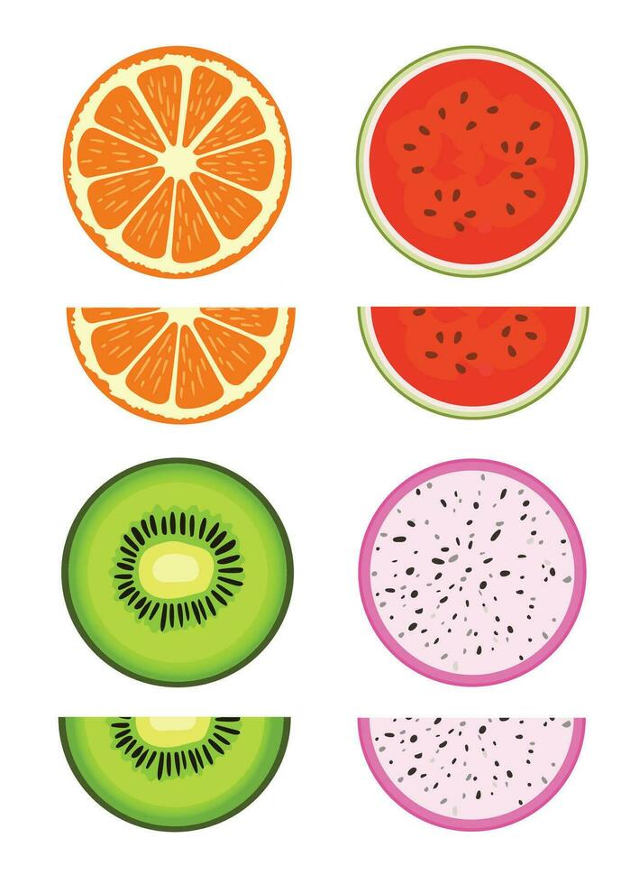 citrus and exotic tropical fruit slice vector