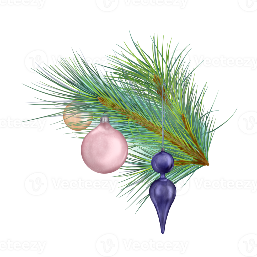 Pine branch with Christmas balls digital watercolor style illustration. Cedar, conifer decoration hand drawn. Element for Christmas design, card, 2023 new year design, holiday print. png